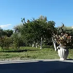 Stavi * Kalamata